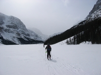 Approach from Peyto lake